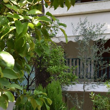 Alexander Aparthotel Pefkochori Exterior photo